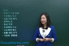 韩语学习全攻略：从零基础到TOPIK考试