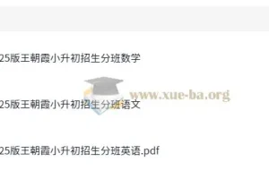 王朝霞2025版小升初重点校毕业升学招生分班卷：语数英