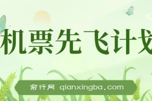 2024 暑假赚钱项目：机票先飞计划，小红书闲鱼暴力引流实操