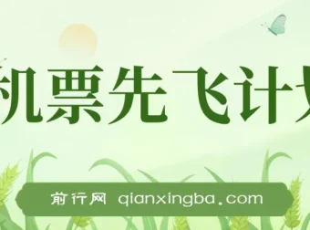 2024 暑假赚钱项目：机票先飞计划，小红书闲鱼暴力引流实操