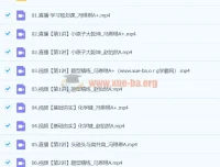 2024冯琳琳高二化学A+寒假班课程