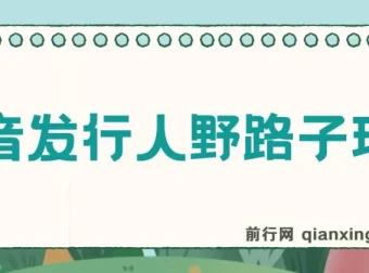 抖音发行人野路子玩法：手机操作日赚2000+教程