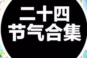 中国传统二十四节气海报模板合集（PSD+AI）