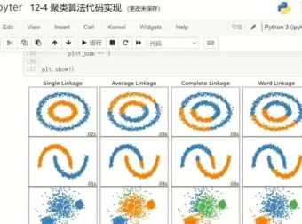机器学习实战：经典算法与项目案例详解课程（附代码）