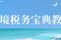 跨境税务宝典教程：跨境电商全球税务处理策略与案例解析