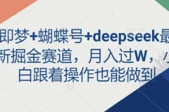 即梦、蝴蝶号与deepseek：最新掘金图文项目
