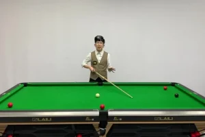 王孟南台球速成班：3个月精通一杆清台技巧