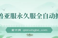 魔兽亚服永久服全自动搬砖保姆级教学（附教程与脚本）