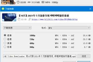 4K Video Downloader：多功能视频下载工具