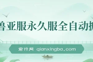 魔兽亚服永久服全自动搬砖保姆级教学（附教程与脚本）