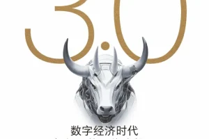 《价值投资3.0：数字经济时代如何寻找百倍成长股》