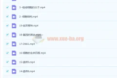 周芳煜2023高考生物一轮复习联报直播课程包（更新19讲）