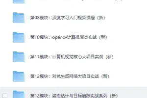 路飞Python人工智能AI工程师课程