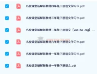【2024春】名校课堂·新解新教材：小学语文下册系列资料