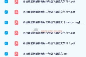 【2024春】名校课堂·新解新教材：小学语文下册系列资料