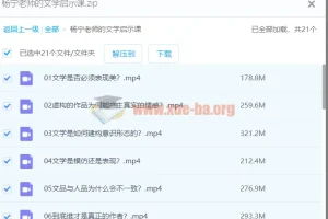 杨宁老师的文学启示课