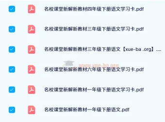 【2024春】名校课堂·新解新教材：小学语文下册系列资料