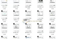 WPS全套教程合集：助力小白秒变高手，打工人必备