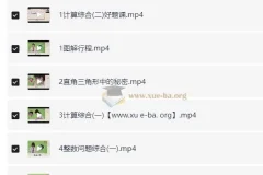 2025 小学数学小升初：六年级数学培训 S 班（史乐 下）