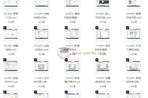 WPS全套教程合集：助力小白秒变高手，打工人必备