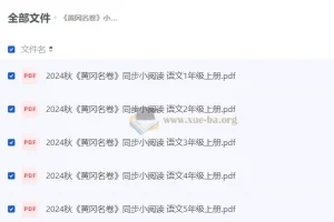 黄冈名卷：小学语文同步小阅读（2024年秋）