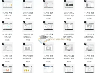 WPS全套教程合集：助力小白秒变高手，打工人必备