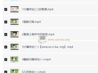 2025 小学数学小升初：六年级数学培训 S 班（史乐 下）