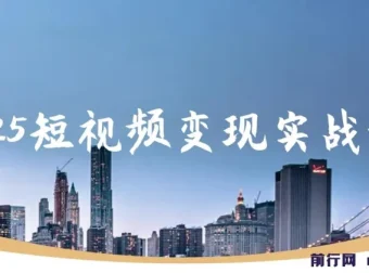 视频号0-1变现实战课：杨磊老师教你AI爆款脚本与四大变现，普通人30天月入5000+