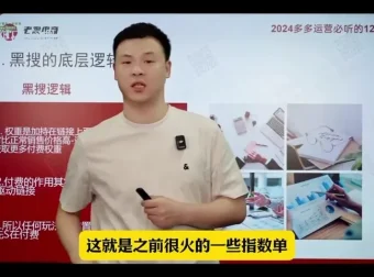 老陶亲授：2024拼多多运营12讲之爆款打造与流量裂变