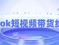 TikTok短视频带货线上课：深挖TK投流达人打法