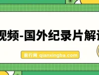 价值1699元的中视频国外纪录片解说课程（含动物、美食、动画片题材）