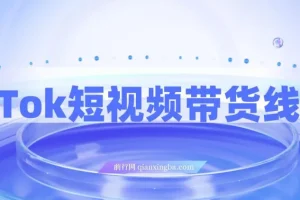 TikTok短视频带货线上课：深挖TK投流达人打法
