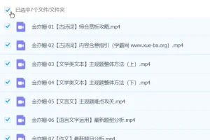 金亦姗 2024 高三高考语文春季班课程