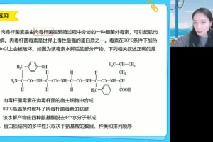 2025高一段瑞莹生物必修一系统精讲班：细胞结构与功能全突破