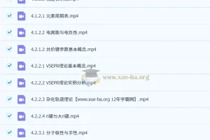 有道钟潇高二化学下学期课程