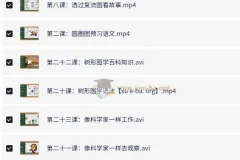 凯叔《孩子需要学会的思维导图课》