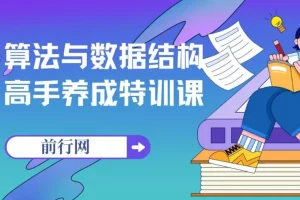 算法与数据结构高手养成特训课：系统化提升编程核心能力