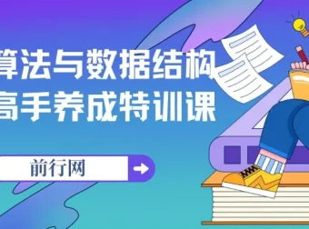 算法与数据结构高手养成特训课：系统化提升编程核心能力
