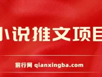 小说推文项目：新人6天日入三位数分享课