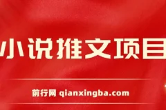 小说推文项目：新人6天日入三位数分享课