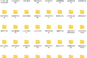 毛衣棒编织：100个精品款式实例