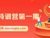 引流特训营第一期：揭秘引流推广技巧