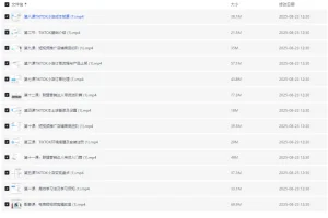 TikTok跨境电商全流程课程：从入门到实操，掌握流量变现与小店运营