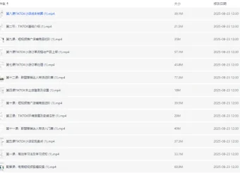 TikTok跨境电商全流程课程：从入门到实操，掌握流量变现与小店运营