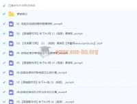 谭清军2024初中初三物理秋季班（下）