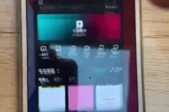 李鲆短视频带货训练营第11期：抖音快手视频号运营秘籍