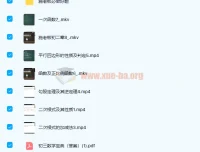 施佳辰初二数学寒假班课程（2020寒）：7讲带讲义完结