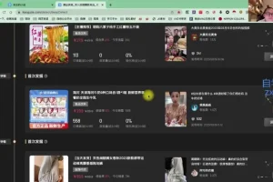 小红书零门槛带货资料：月入过万轻松上手