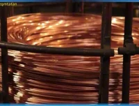 斑马百科：岩石矿物图鉴，12课探索地球宝藏知识