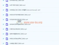 2020九年级政治秋季周若男课程（已完结，共16讲）